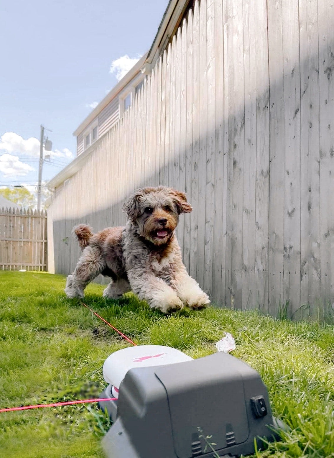 Home Original Kit Enrichment Product SwiftPaws