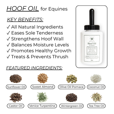 The Equine Performance Pack The Hoof & Paw Co.