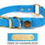 Hunting Dog Center Ring Collar - Sky Blue Dog Supplies Pointer Traditions