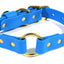 Hunting Dog Center Ring Collar - Sky Blue Dog Supplies Pointer Traditions