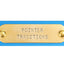 Hunting Dog Center Ring Collar - Sky Blue Dog Supplies Pointer Traditions