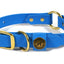 Hunting Dog Center Ring Collar - Sky Blue Dog Supplies Pointer Traditions