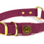 Hunting Dog Center Ring Collar - Wine Dog Supplies Pointer Traditions