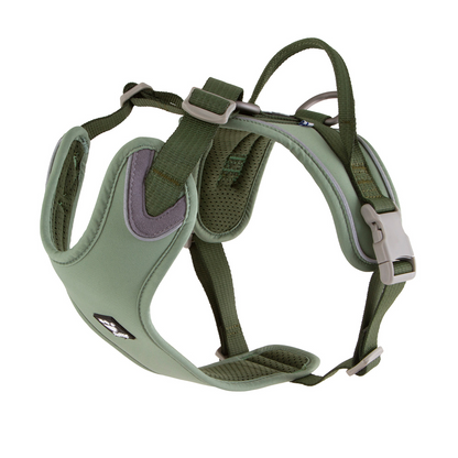 green harness with adjustable straps and clip on a white background 