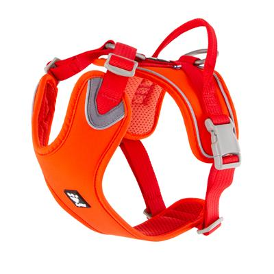 bright orange harness with adjustable straps and clip on a white background