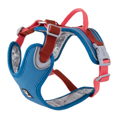 Blue and red dog harness with adjustable straps and clip on a white background 