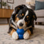Double Trouble Dog Toy - Dual Chamber Treat Dispenser for Large Dogs | USA Made Rubber Dog Toys SodaPup/True Dogs, LLC