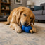 Double Trouble Dog Toy - Dual Chamber Treat Dispenser for Large Dogs | USA Made Rubber Dog Toys SodaPup/True Dogs, LLC