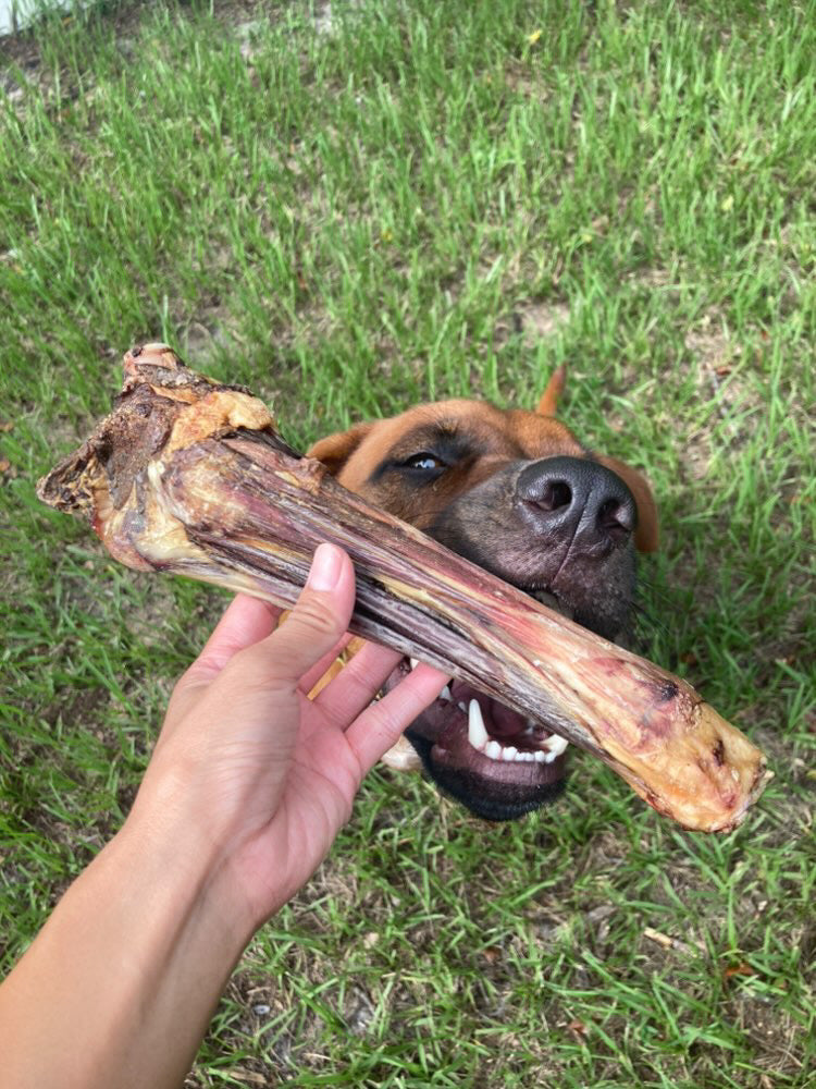 Lamb Shank (GFF & Pasture Raised) Naked Beasts