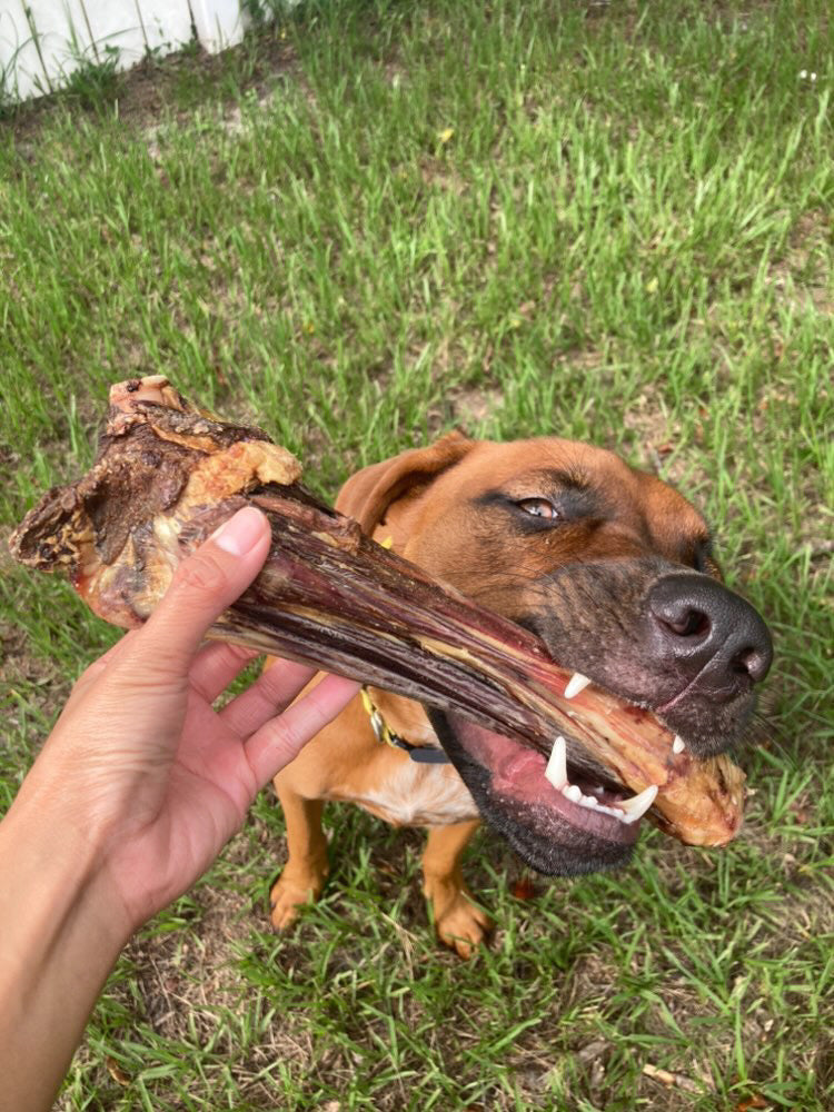 Lamb Shank (GFF & Pasture Raised) Naked Beasts