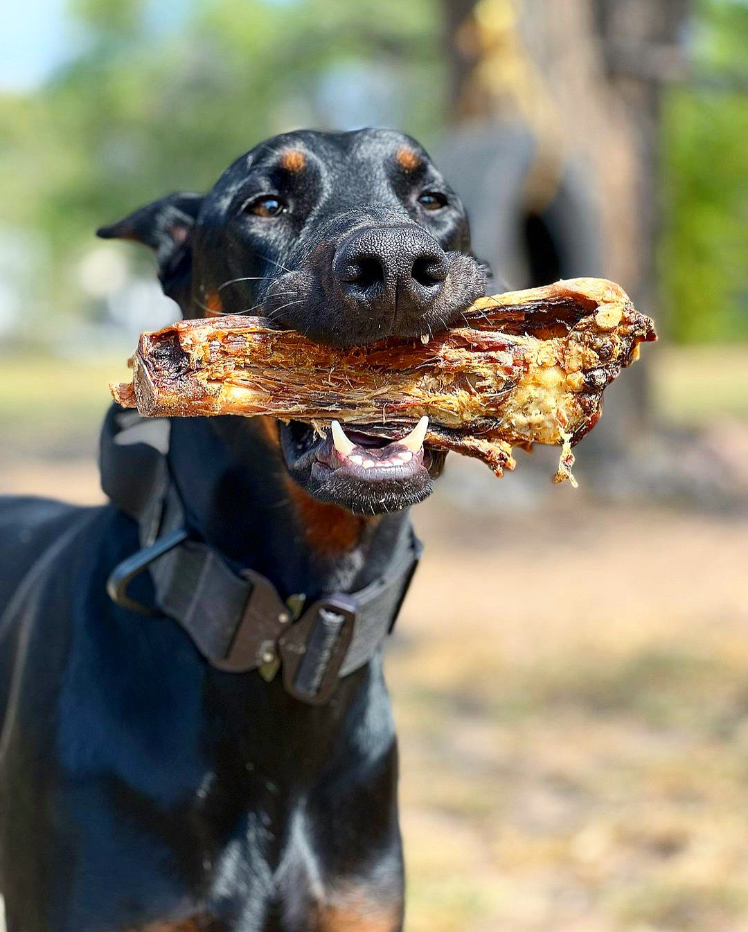 Lamb Shank (GFF & Pasture Raised) Naked Beasts