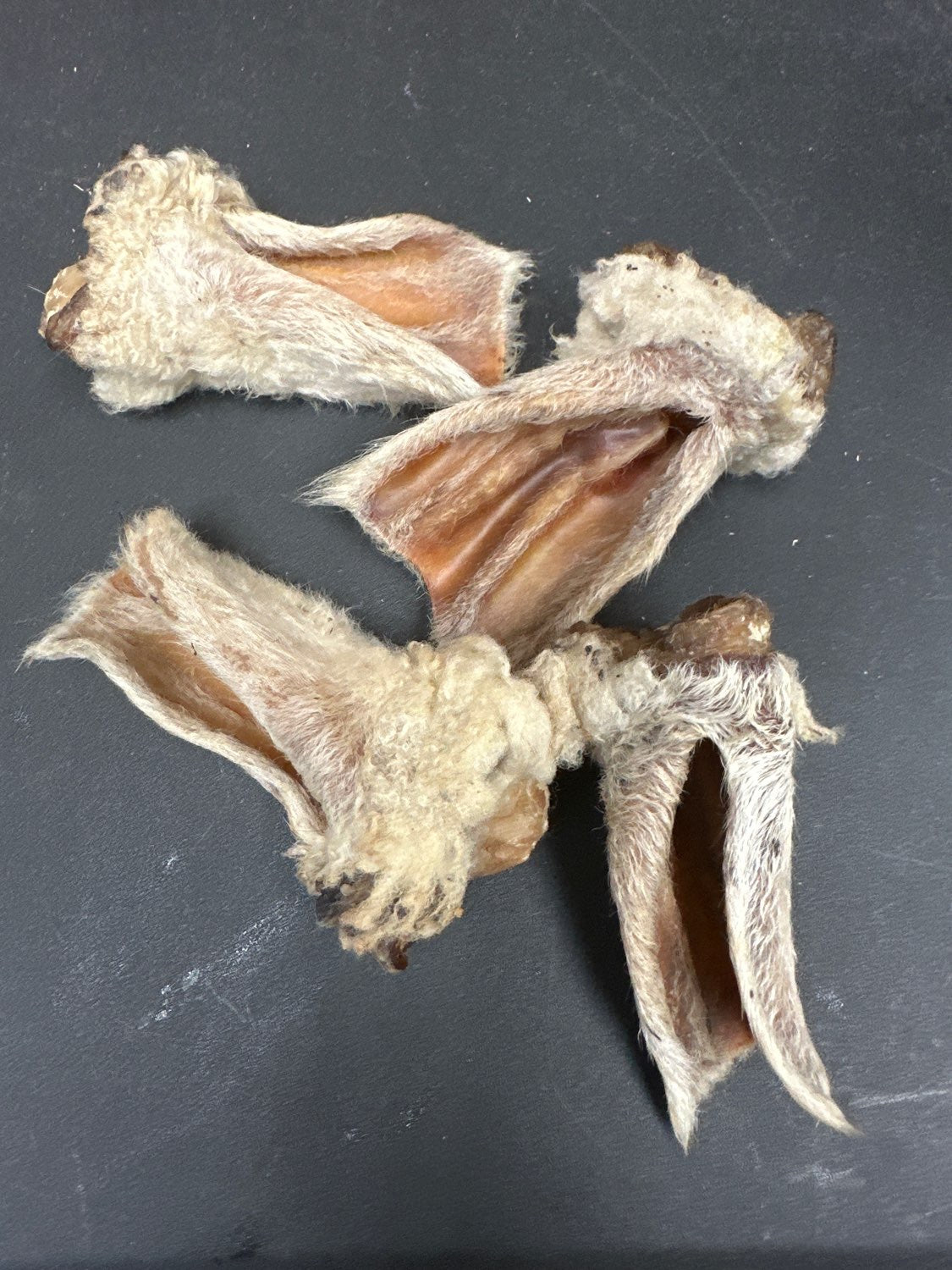 Lamb Ears (Furry & Non Fur) Naked Beasts