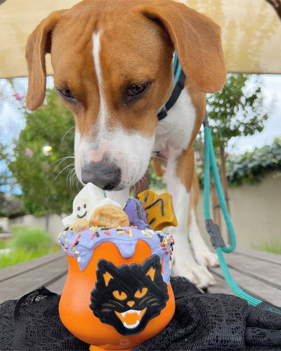 Butterfly Pea Flower Powder (Organic) Naked Beasts