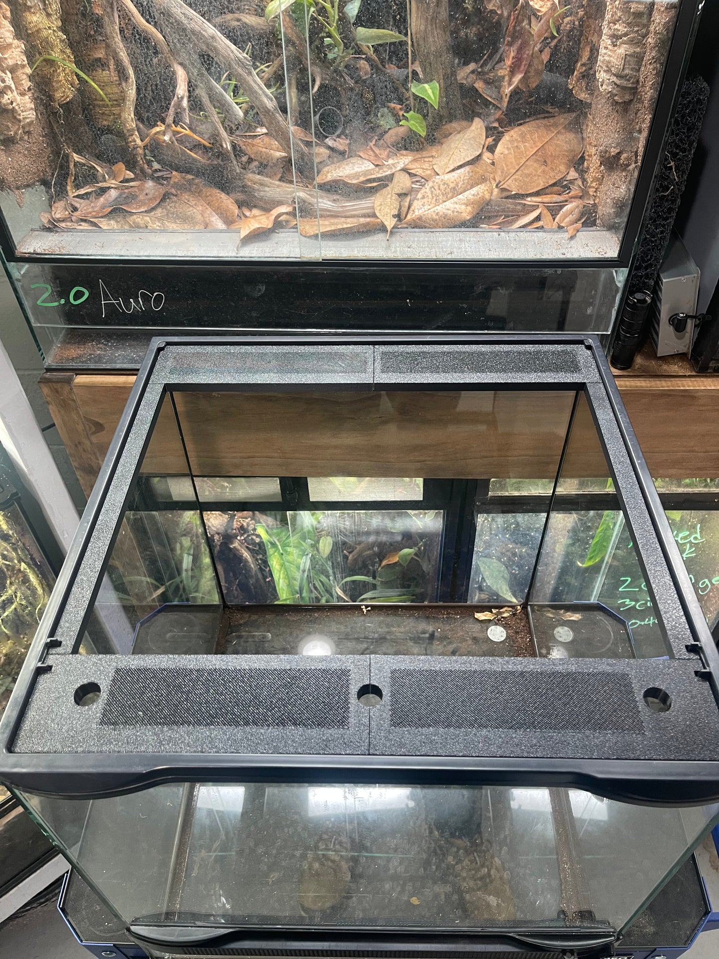 Custom Replacement Top for 18" Zoomed Terrariums – Humidity Retaining with Fly-Proof Ventilation 18" Full Frame Thrive Ecosystems
