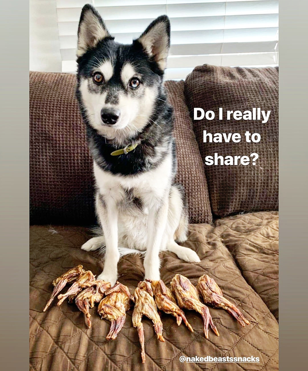 Whole Quails (Bone-In) Naked Beasts