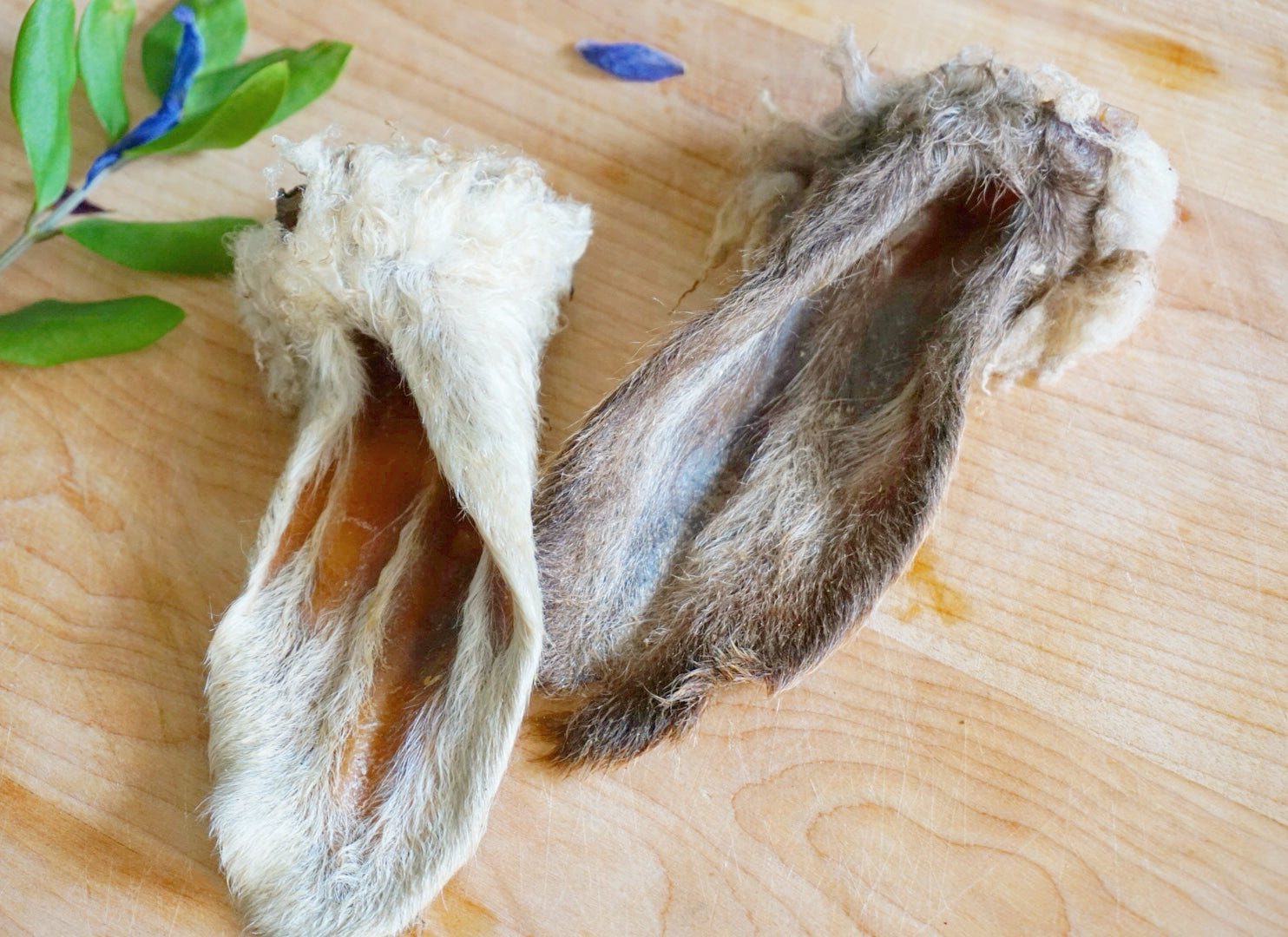 Lamb Ears (Furry & Non Fur) Naked Beasts