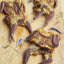 Whole Quails (Bone-In) Naked Beasts