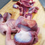Turkey Gizzard (ABF) - Thin Cut Naked Beasts
