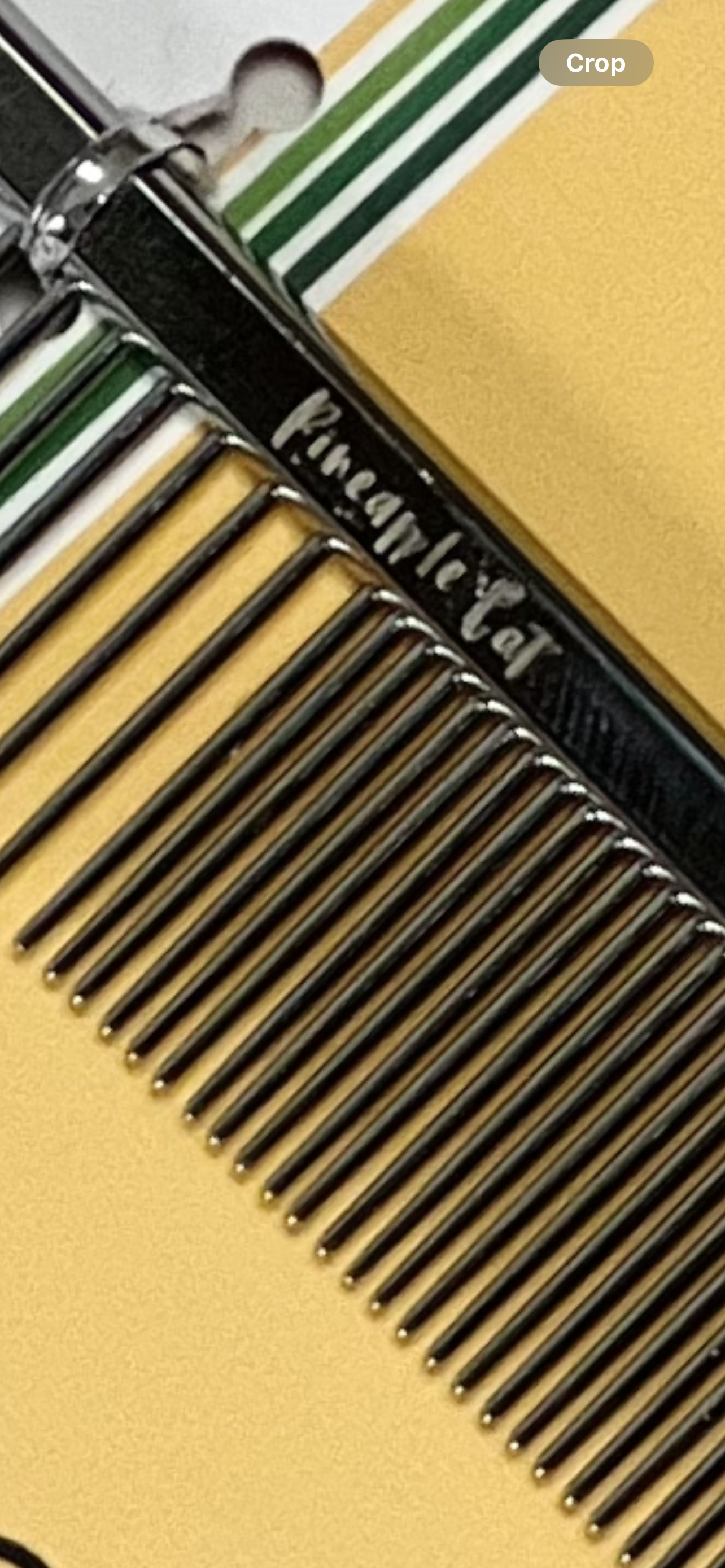 Short-haired cat comb Grooming The Charleston Cat Groomer