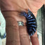 Demasoni cichlids AFRICAN CICHLIDS Danaqua Live Fish & More