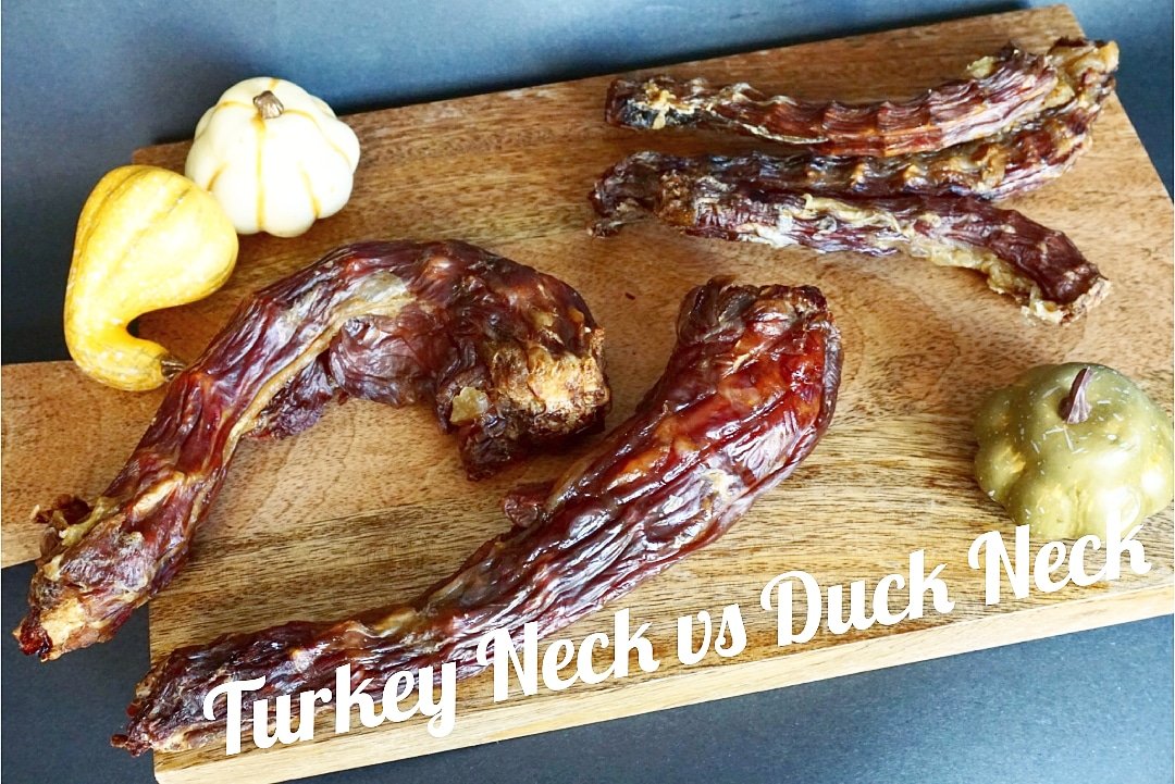 Turkey Neck Naked Beasts