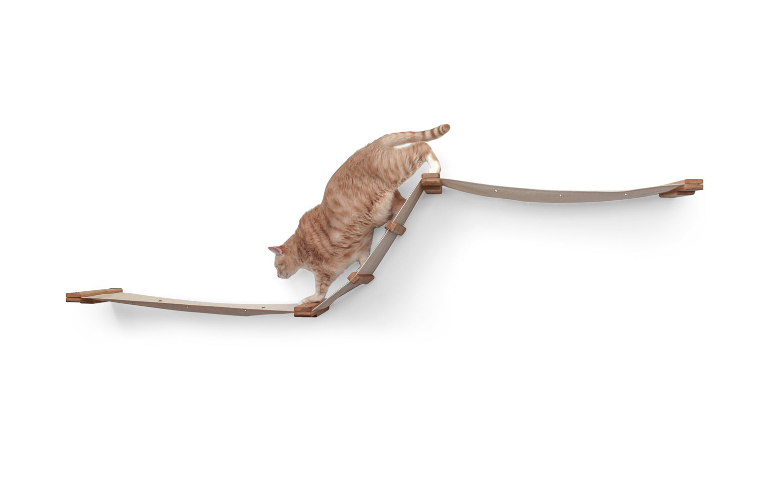 The Raceway - Wall Mounted Cat Hammock Cat Hammock Catastrophic Creations