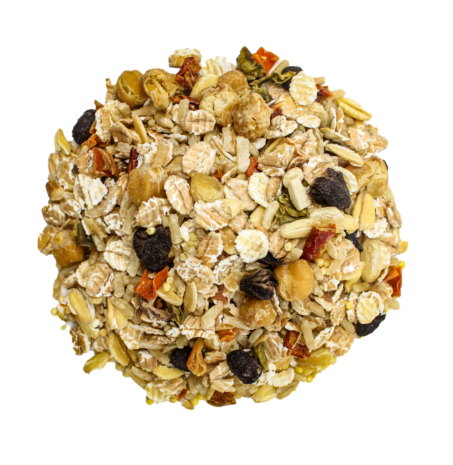 Bean Bistro Feast on the Fly Parrot Food Bird Street Bistro