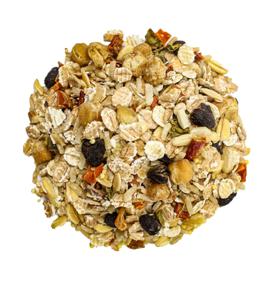 Bean Bistro Feast on the Fly Parrot Food Bird Street Bistro