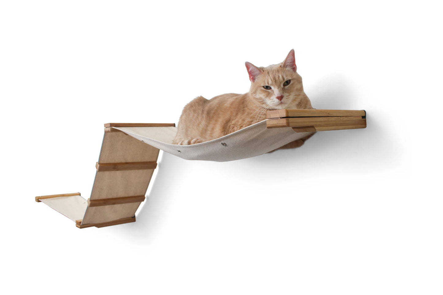 The Raceway - Wall Mounted Cat Hammock Cat Hammock Catastrophic Creations