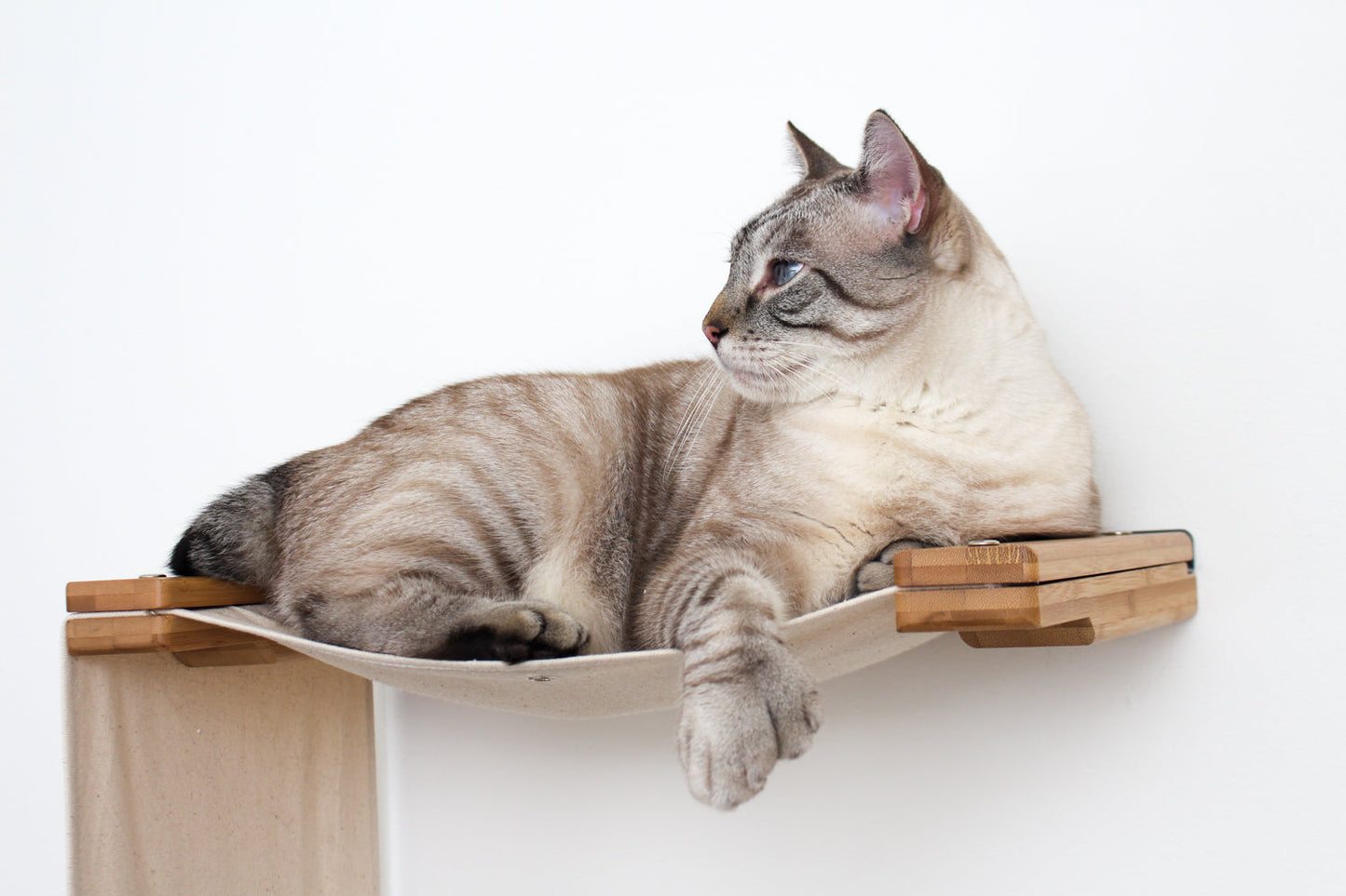 The Double Decker - Cat Hanging Bed Set Cat Hammock Catastrophic Creations