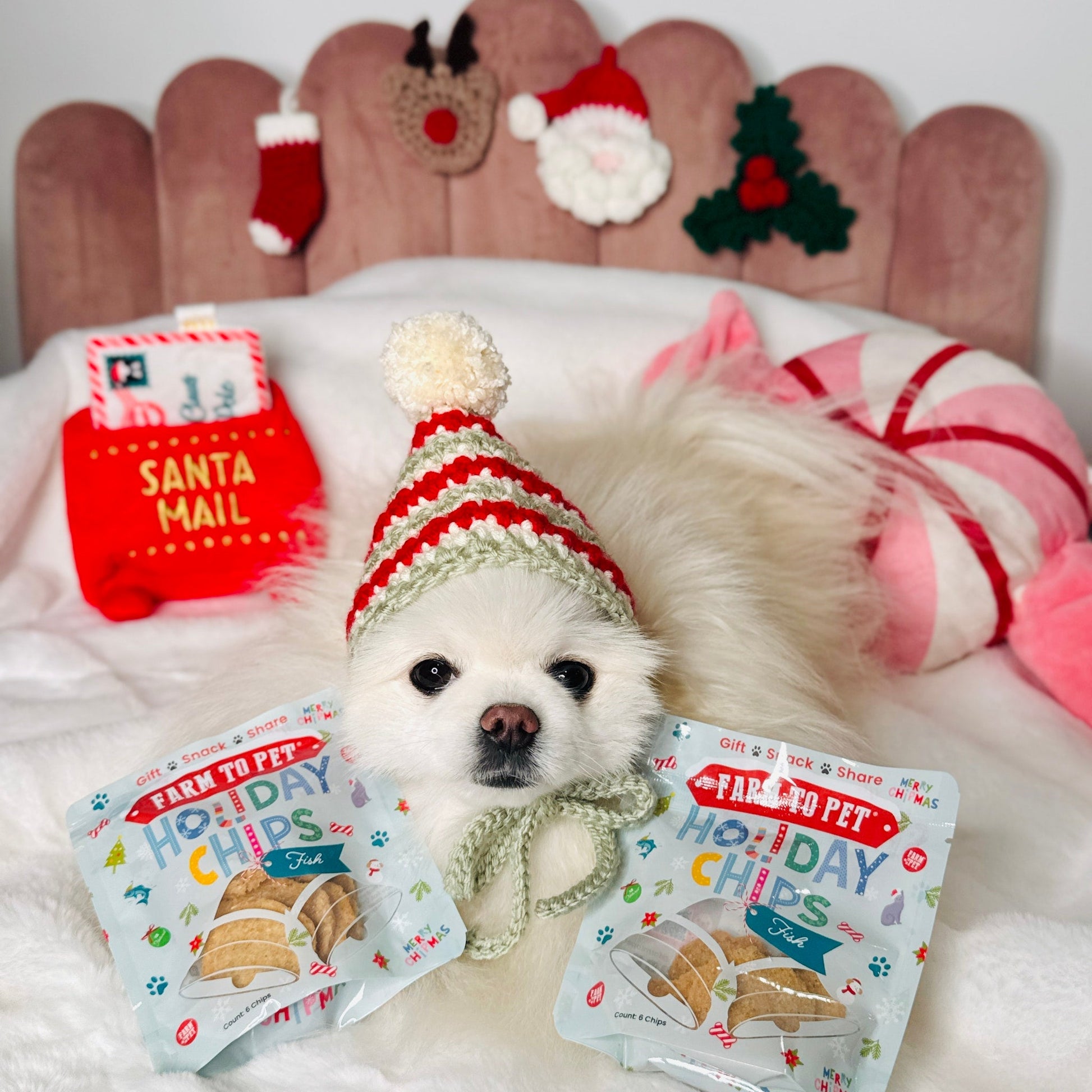 Snack Stuffers Mini Dog Treat Bags Snack Pack Farm To Pet