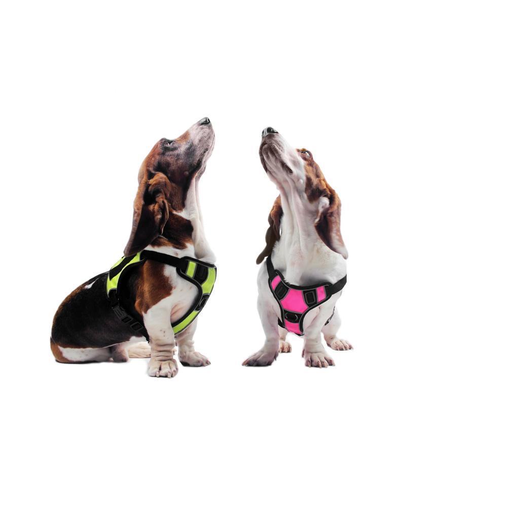 Dogline Quest Multi-Purpose No Pull Dog Harness Dog Harnesses Dogline