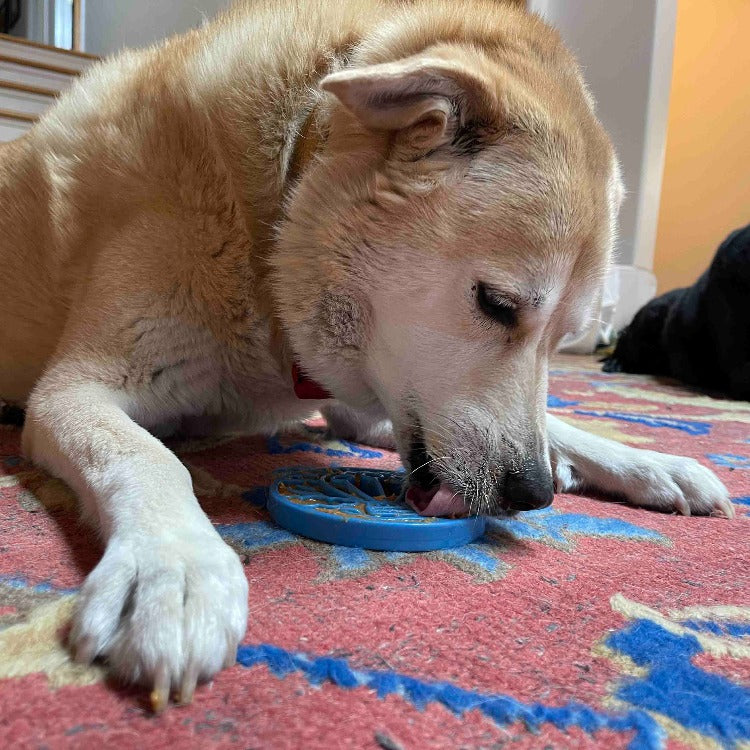 Air Nylon eCoin Lick Mat for Dogs - Durable Enrichment Toy | SodaPup ECOIN SodaPup/True Dogs, LLC