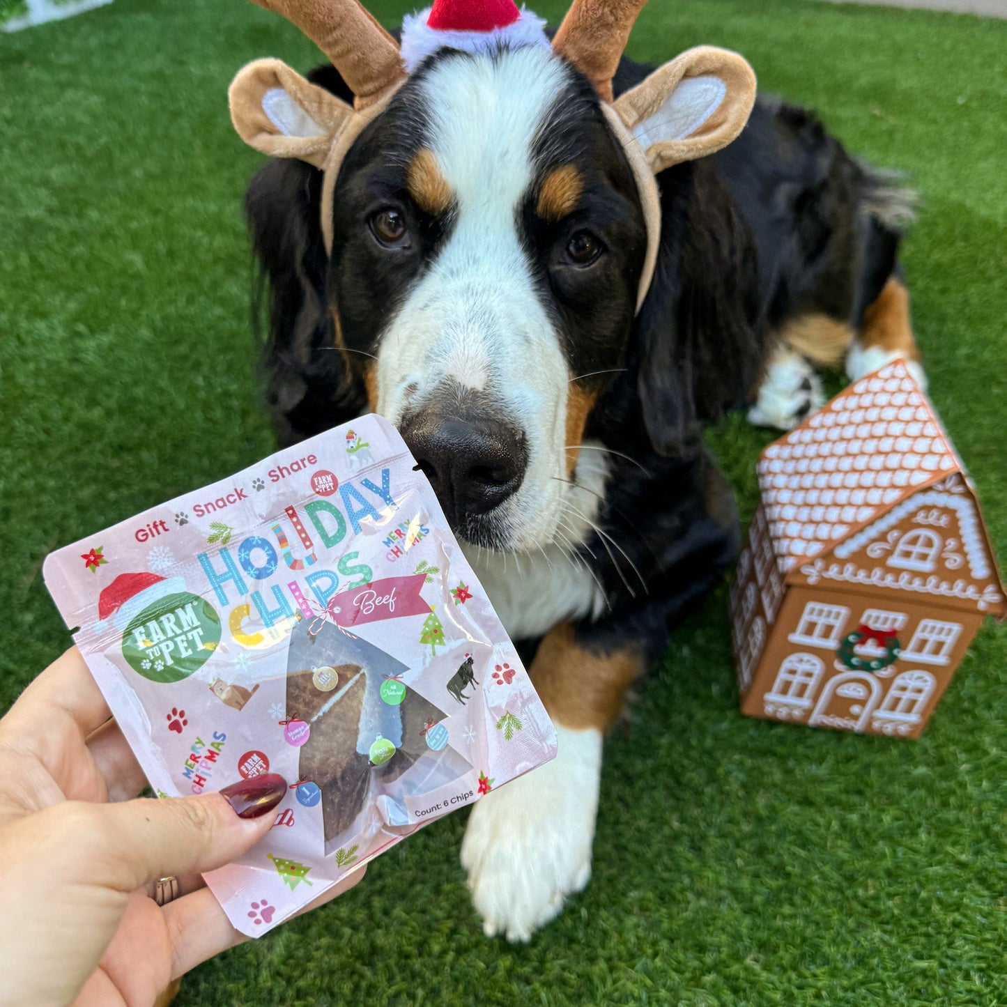 Snack Stuffers Mini Dog Treat Bags Snack Pack Farm To Pet