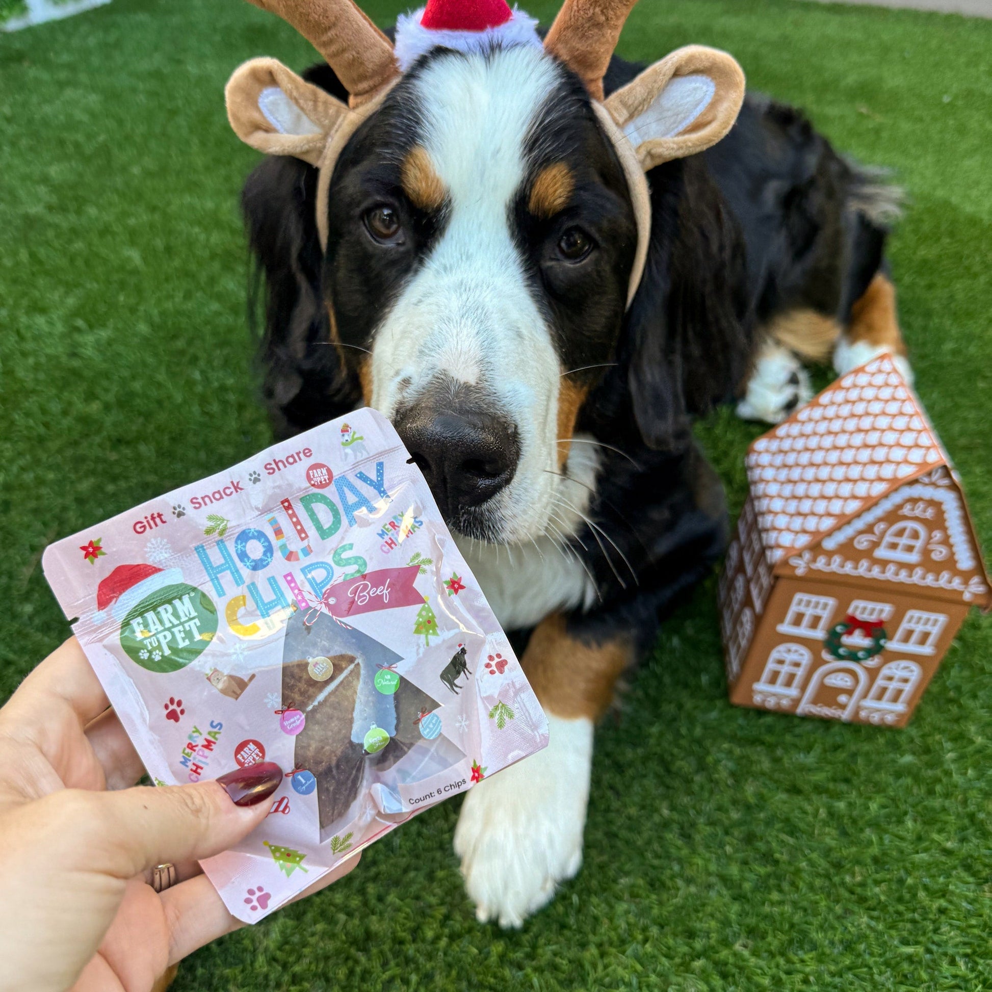 Snack Stuffers Mini Dog Treat Bags Snack Pack Farm To Pet