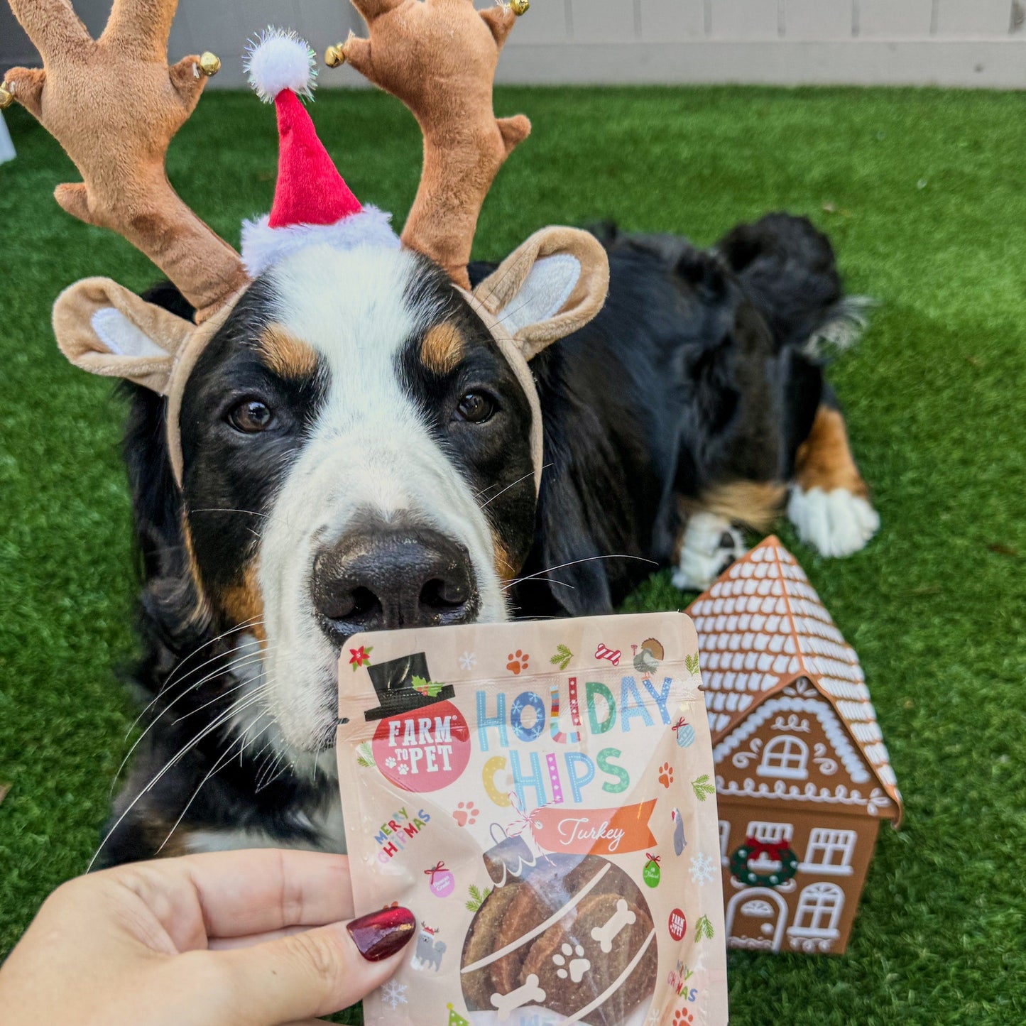 Snack Stuffers Mini Dog Treat Bags Snack Pack Farm To Pet