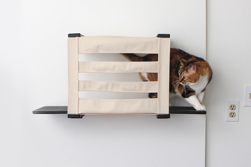Cat Cubby for Wall - Covered Cat Bed Onyx Bamboo Slotted Catastrophic Creations