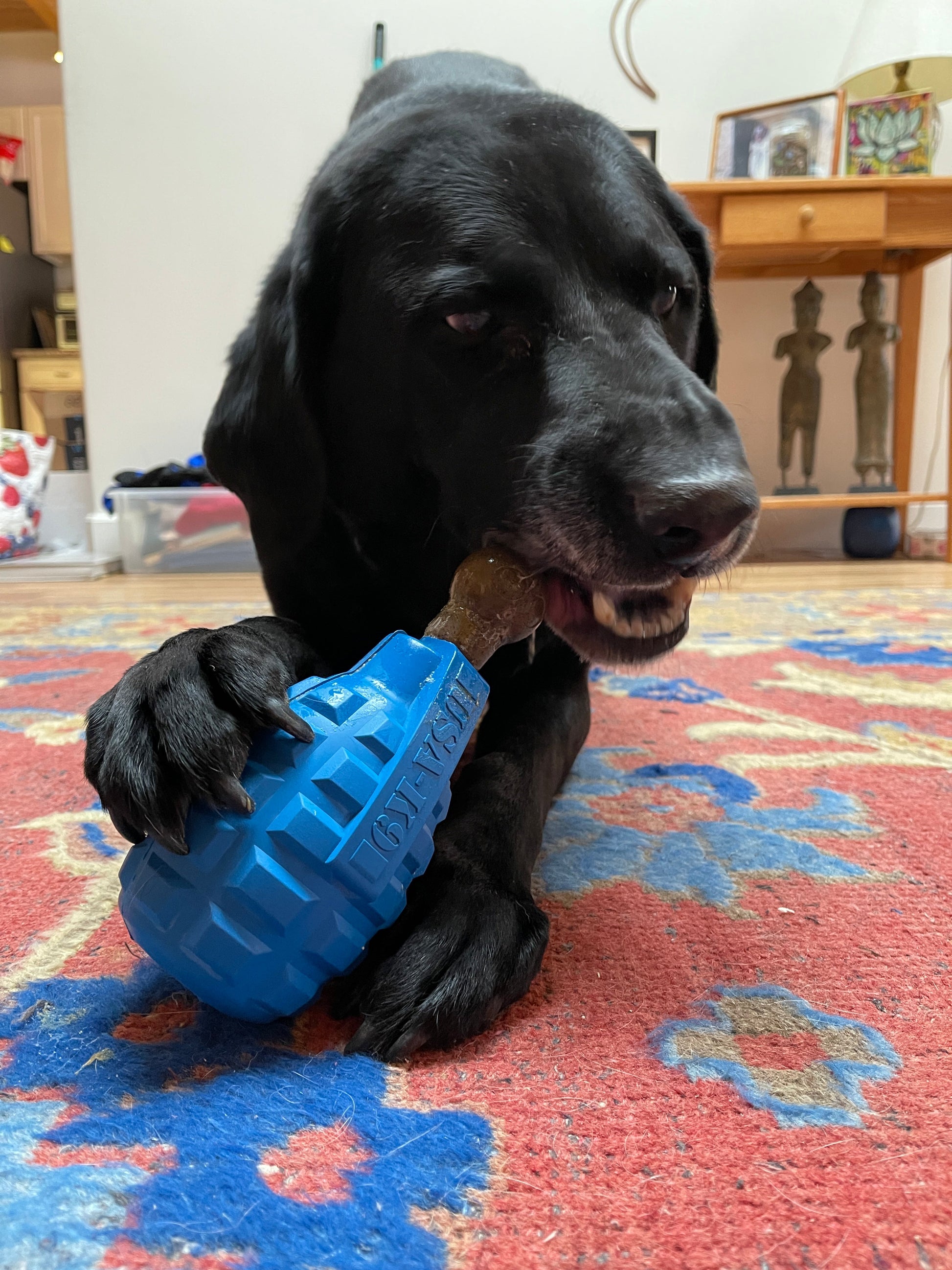 Unstoppables Chewers for SodaPup Rubber Treat Dispensers - 3 Pack Nylon Dog Toys SodaPup/True Dogs, LLC