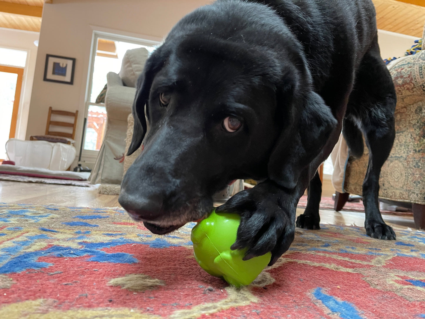 Unstoppables Chewers for SodaPup Rubber Treat Dispensers - 3 Pack Nylon Dog Toys SodaPup/True Dogs, LLC