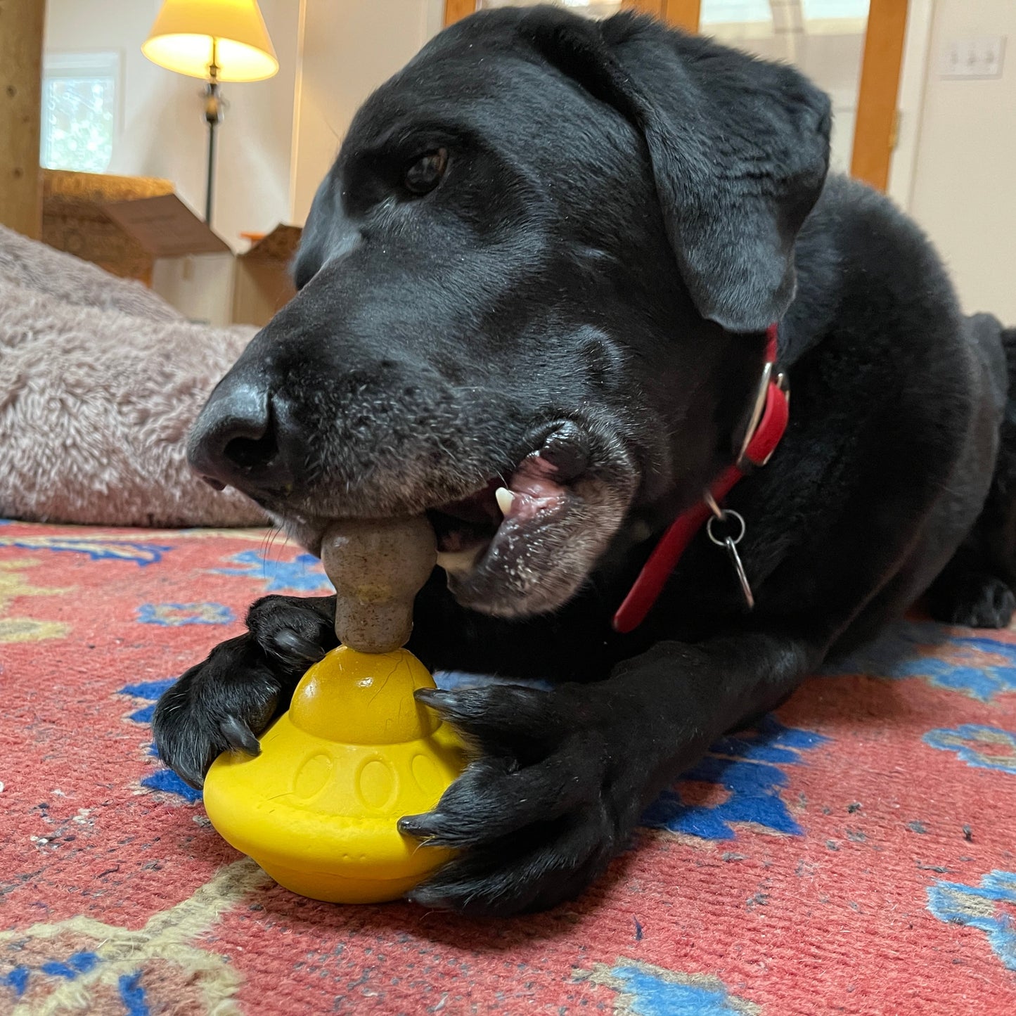 Unstoppables Chewers for SodaPup Rubber Treat Dispensers - 3 Pack Nylon Dog Toys SodaPup/True Dogs, LLC