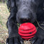 USA-K9 Stars and Stripes Ultra-Durable Rubber Chew Ball Rubber Dog Toys SodaPup/True Dogs, LLC