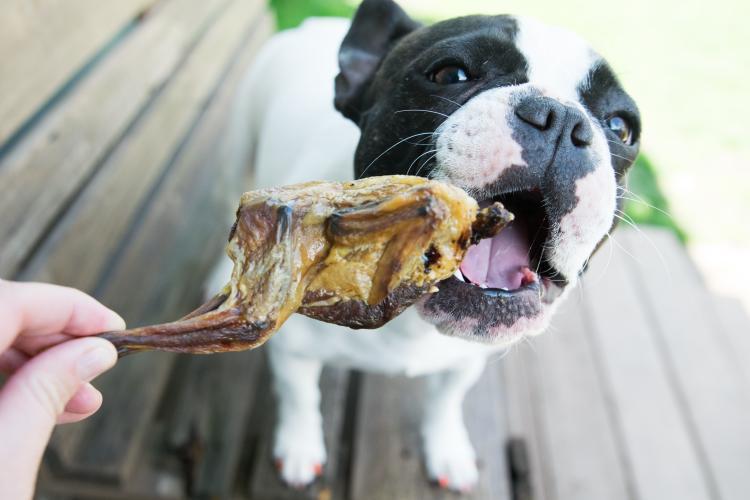 Whole Quails (Bone-In) Naked Beasts