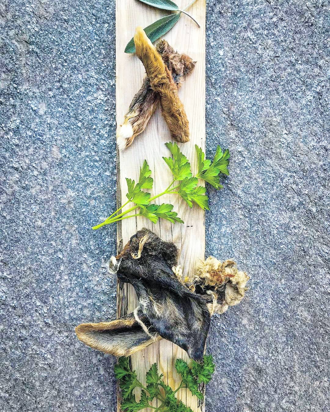 Lamb Ears (Furry & Non Fur) Naked Beasts