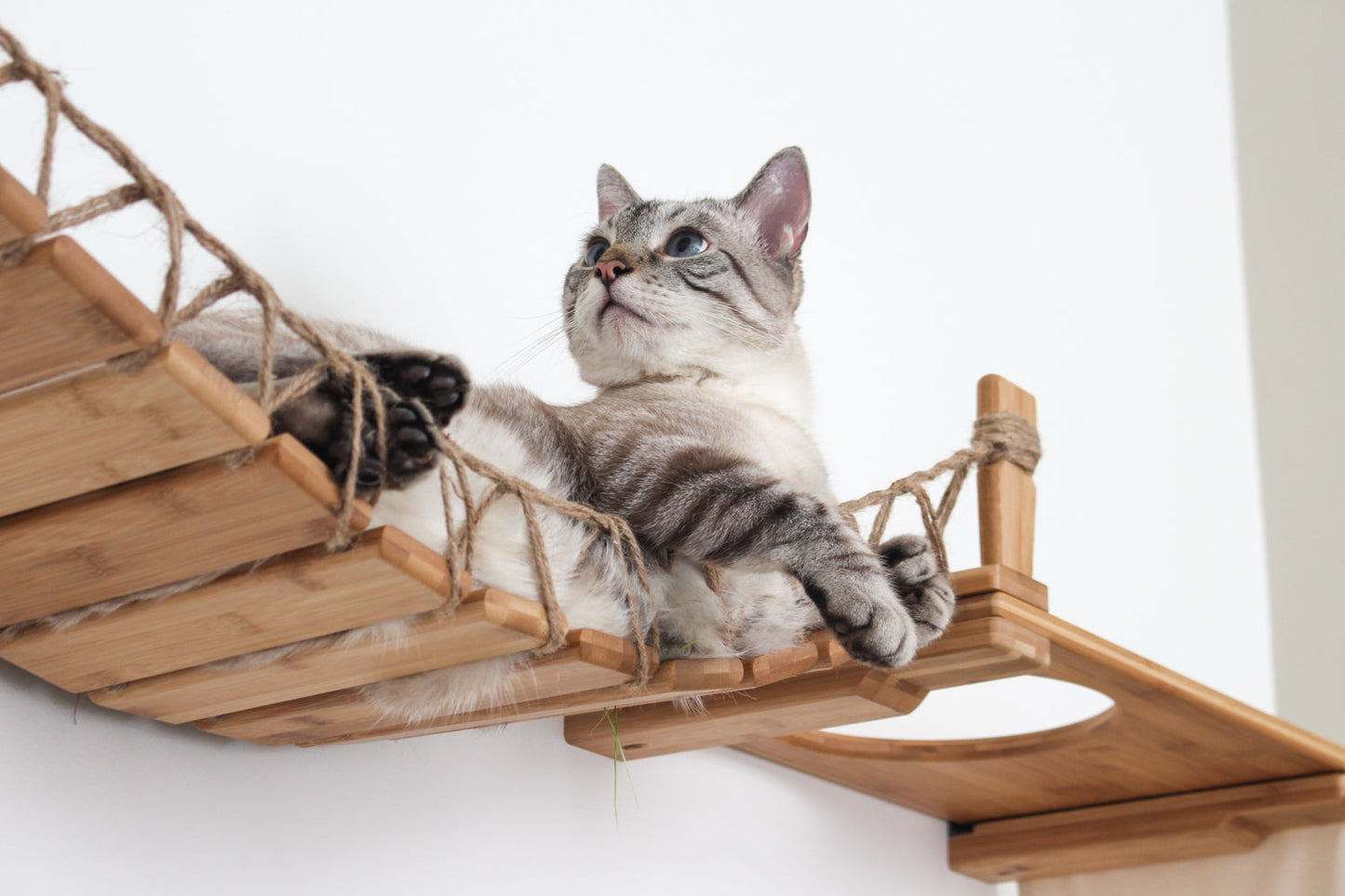 The Temple - Giant Cat Tree on Wall Cat Condo Catastrophic Creations