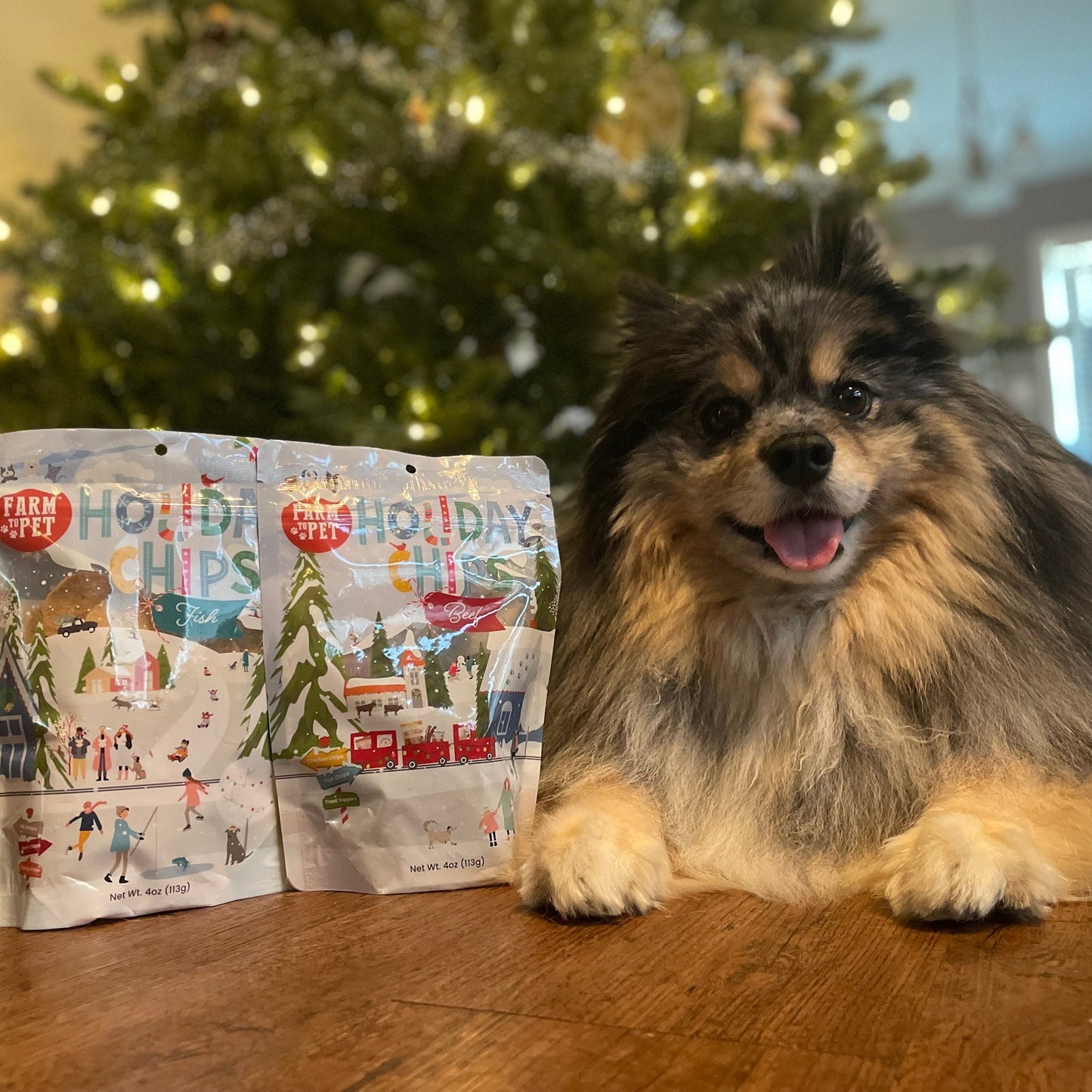 Holiday Chips Dog Treats - Beef & Fish 4oz Chip Farm To Pet