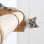 Wall Mounted Cat Climbing Pole - Sisal Cat Scratcher Catastrophic Creations