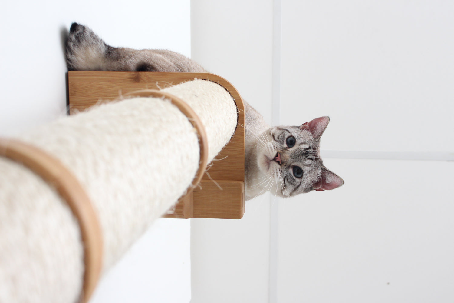 Wall Mounted Cat Climbing Pole - Sisal Cat Scratcher Catastrophic Creations