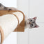 Wall Mounted Cat Climbing Pole - Sisal Cat Scratcher Catastrophic Creations