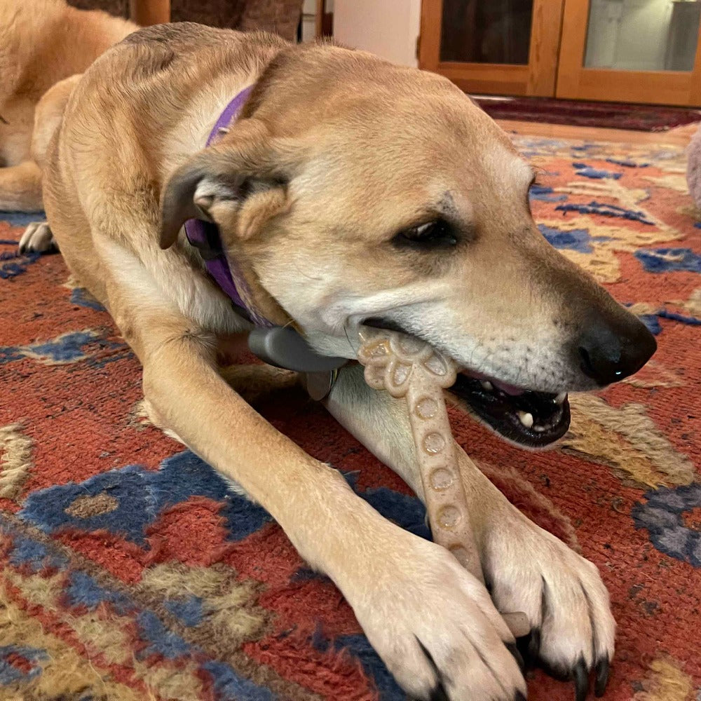 Flower Tower Nylon Chew Toy for Aggressive Chewers - USA Made Enrichment Toy Nylon Dog Toys SodaPup/True Dogs, LLC