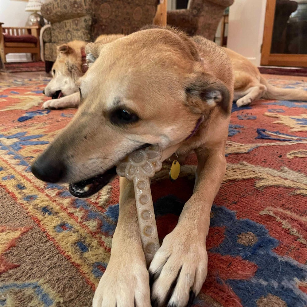 Flower Tower Nylon Chew Toy for Aggressive Chewers - USA Made Enrichment Toy Nylon Dog Toys SodaPup/True Dogs, LLC